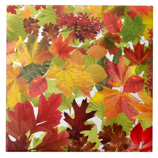 Autumn Fall Leaves Tegeltje (Voorkant)