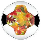 Autumn Fall Leaves Voetbal (Gedraaid)