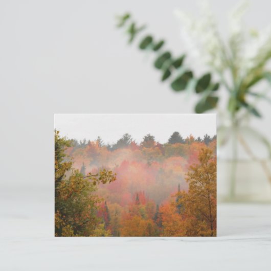 Autumn Field Adirondacks Trees Scene Landschap Briefkaart (Staand voorkant)
