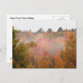 Autumn Field Adirondacks Trees Scene Landschap Briefkaart (Voorkant / Achterkant)