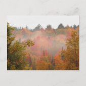 Autumn Field Adirondacks Trees Scene Landschap Briefkaart (Voorkant)
