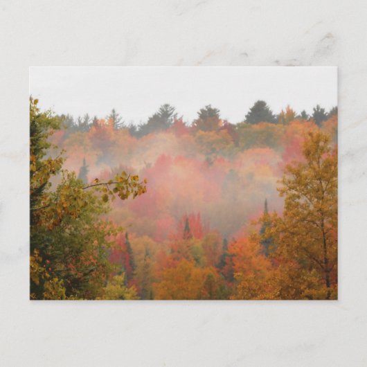 Autumn Field Adirondacks Trees Scene Landschap Briefkaart (Voorkant)
