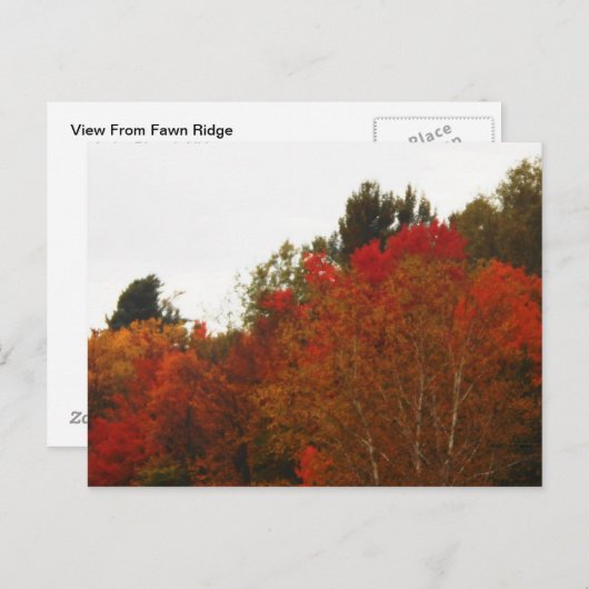 Autumn Field Adirondacks Trees Scene Landschap Briefkaart (Voorkant / Achterkant)