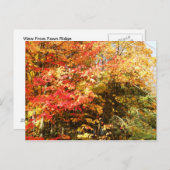 Autumn Field Adirondacks Trees Scene Landschap Briefkaart (Voorkant / Achterkant)