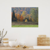 Autumn Field Adirondacks Trees Scene Landschap Poster (Keuken)