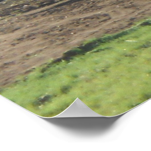 Autumn Field Adirondacks Trees Scene Landschap Poster (Hoek)