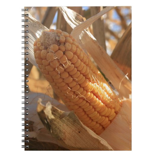 Autumn Field Corn op Stalk Notitieboek (Voorkant)