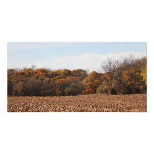 Autumn Field Foto Afdruk