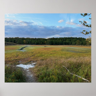 Autumn Field Foto Poster