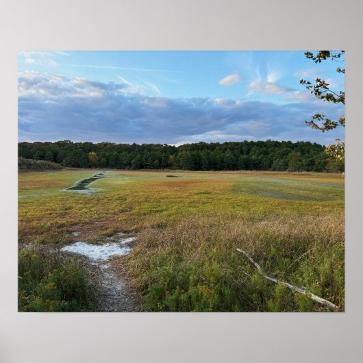 Autumn Field Foto Poster (Voorkant)