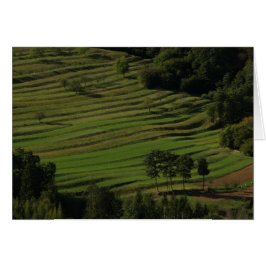 Autumn fields, Prem, Slovenië