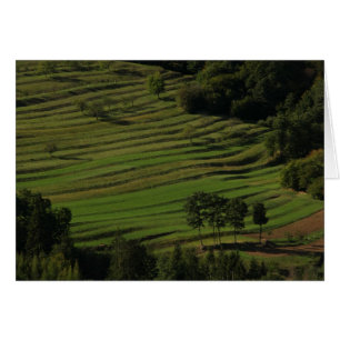Autumn fields, Prem, Slovenië