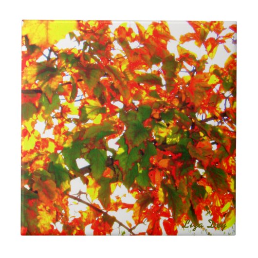 "Autumn Fire"-Tegel/Trivet Tegeltje (Voorkant)