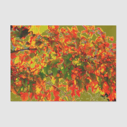 'Autumn Fire' Tissue Paper Tissuepapier (Voorkant)