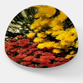 Autumn Flowers