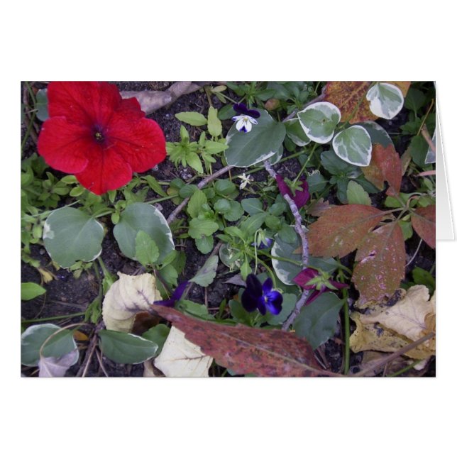 Autumn Flowers (Voorkant Horizontaal)