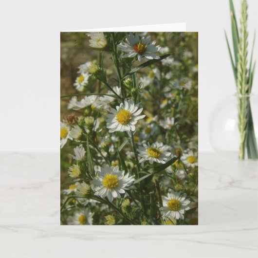 Autumn Flowers All Occasions Kaart (Voorkant)