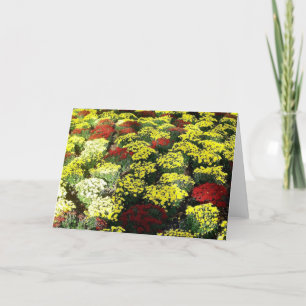 "Autumn Flowers" Blank Wenskaart Kaart