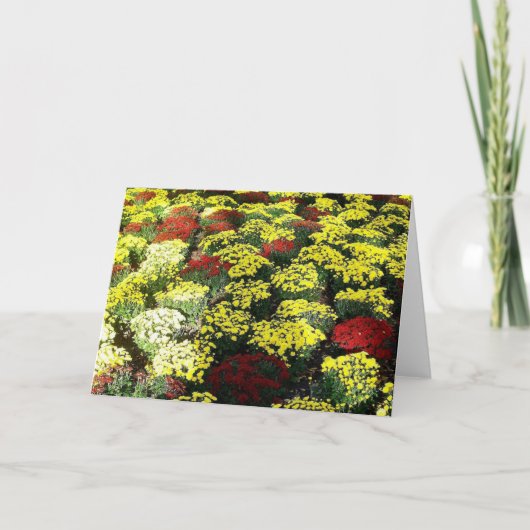 "Autumn Flowers" Blank Wenskaart Kaart (Voorkant)