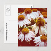 Autumn Flowers Briefkaart (Voorkant / Achterkant)
