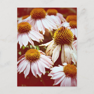 Autumn Flowers Briefkaart
