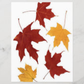 Autumn Flyer (Achterkant)