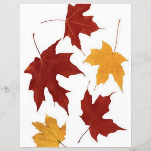 Autumn Flyer (Achterkant)