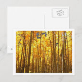 Autumn Foilage Briefkaart (Voorkant / Achterkant)