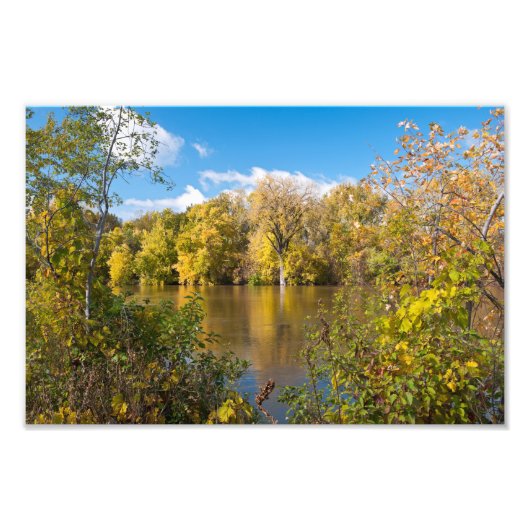 Autumn Foliage Along Minnesota Foto Afdruk (Voorkant)
