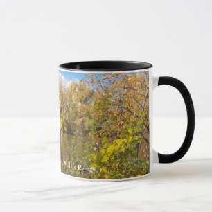 Autumn Foliage Along Minnesota Mok