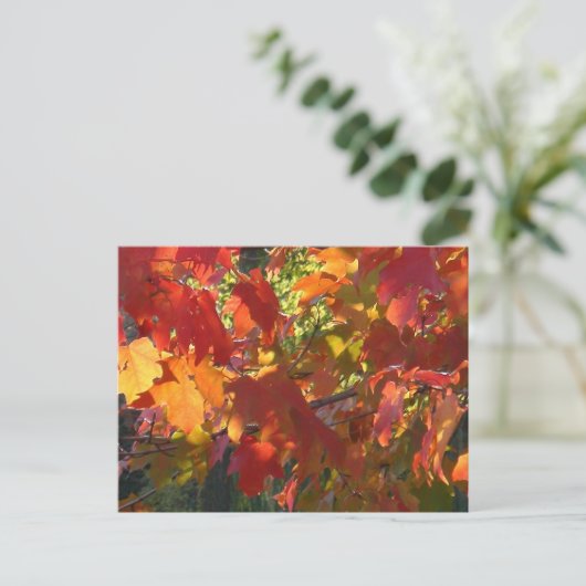 Autumn Foliage Briefkaart (Staand voorkant)