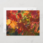 Autumn Foliage Briefkaart (Voorkant / Achterkant)