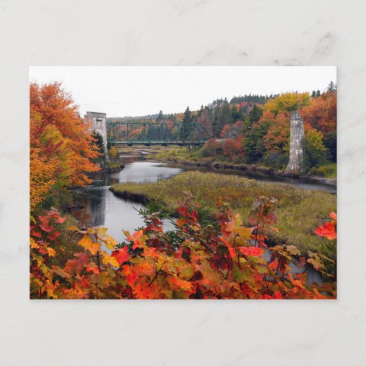 Autumn Foliage Briefkaart (Voorkant)