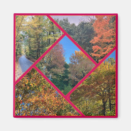 Autumn Foliage Collage Magneet