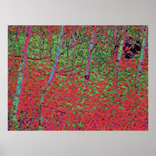Autumn Foliage d5 Poster (Voorkant)