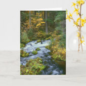 Autumn foliage & Douglas Fir Border Roaring River Kaart (Gele Bloem)