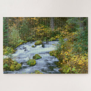 Autumn foliage & Douglas Fir Border Roaring River Legpuzzel
