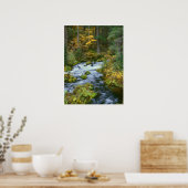 Autumn foliage & Douglas Fir Border Roaring River Poster (Keuken)