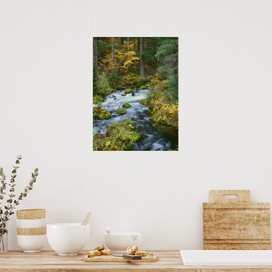 Autumn foliage & Douglas Fir Border Roaring River Poster (Keuken)