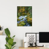 Autumn foliage & Douglas Fir Border Roaring River Poster (Thuiskantoor)