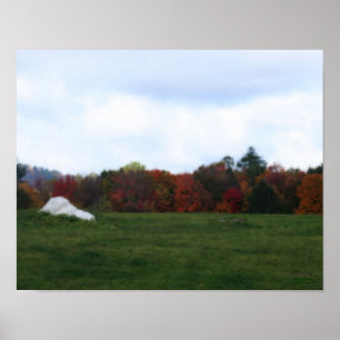 Autumn Foliage Field Rock Natuur Print