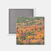 Autumn Foliage | Keweenaw Peninsula, Michigan Magneet (Voorkant / Achterkant)
