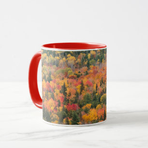 Autumn Foliage Keweenaw Peninsula, Michigan Mok