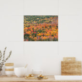 Autumn Foliage | Keweenaw Peninsula, Michigan Poster (Keuken)