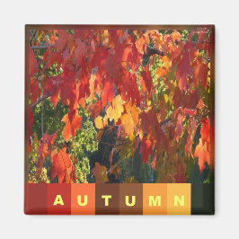 Autumn Foliage Magneet