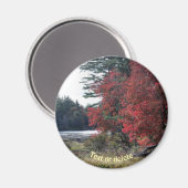 Autumn Foliage Pond Natuur Fotografie Magneet (Voorkant / Achterkant)