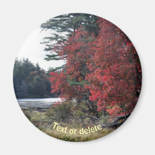 Autumn Foliage Pond Natuur Fotografie Magneet