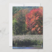 Autumn Foliage Pond Natuur Party Kaart (Achterkant)