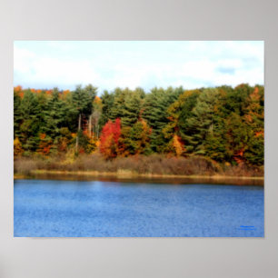 Autumn Foliage Pond Orton Effect Poster