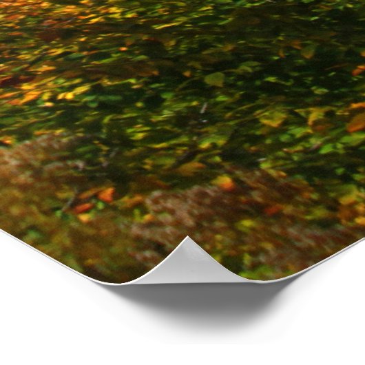 Autumn Foliage Poster (Hoek)